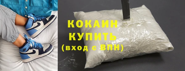 хмурый Алексин