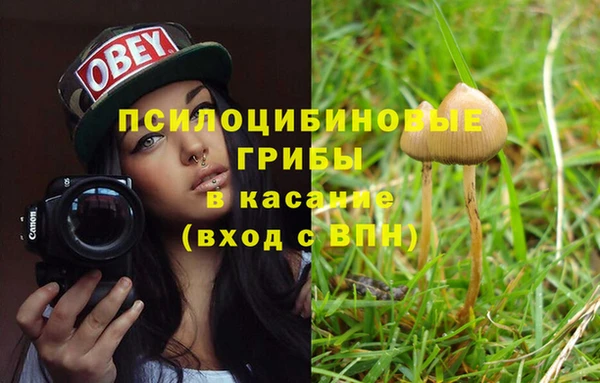 хмурый Алексин