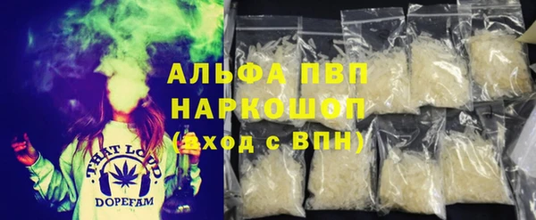 хмурый Алексин